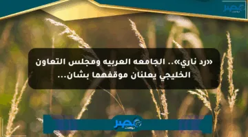 «رد ناري».. الجامعة العربية ومجلس التعاون الخليجي يعلنان موقفهما بشأن…